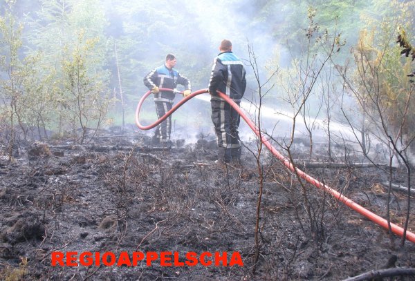 Regio Appelscha